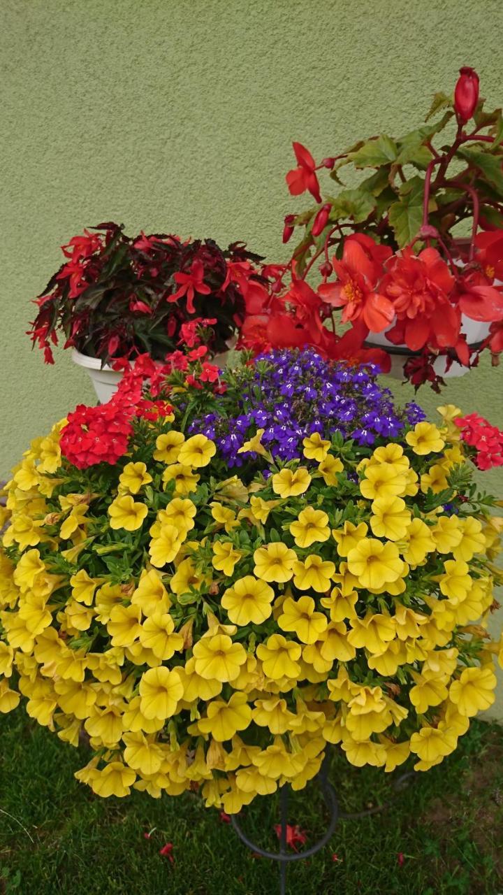 Holiday Home Noras Nams Цесіс Екстер'єр фото
